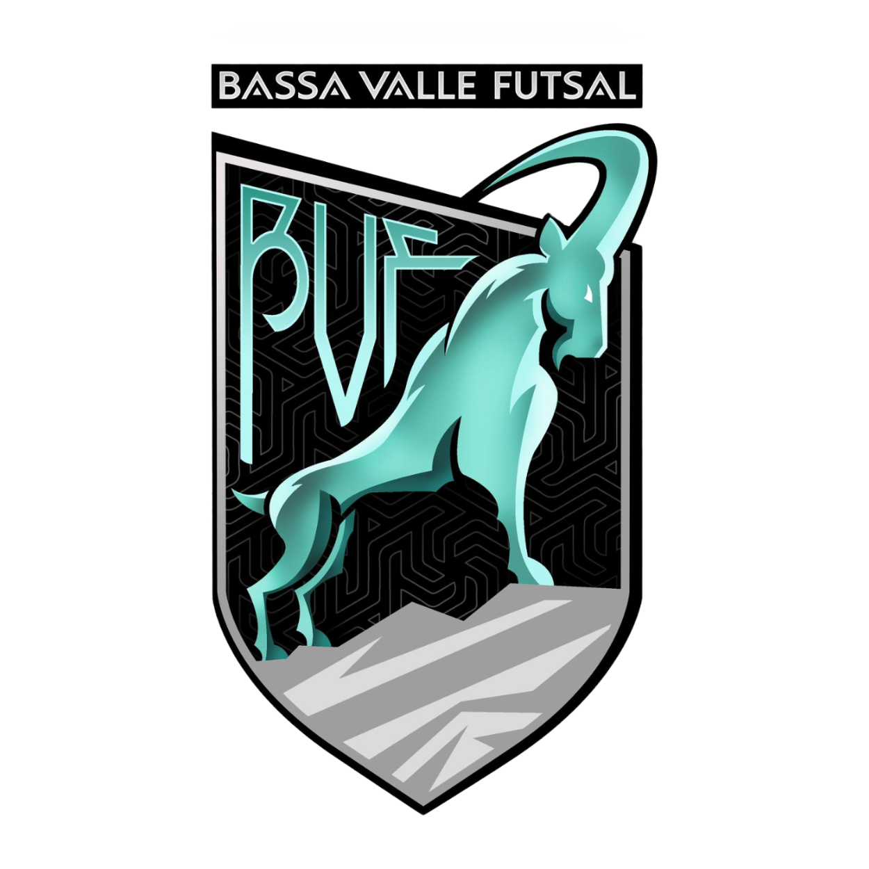 Bassa Valle Futsal